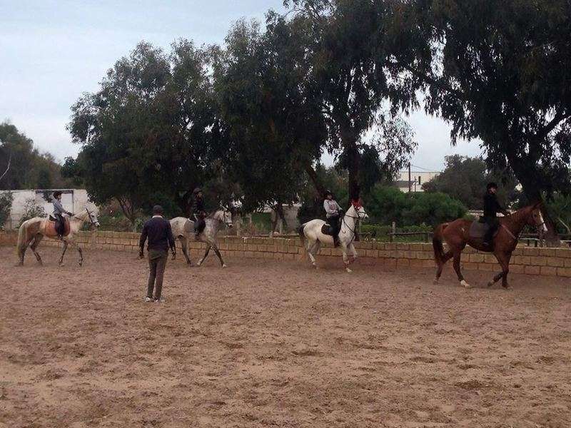 Royal-club-equestre-anfa